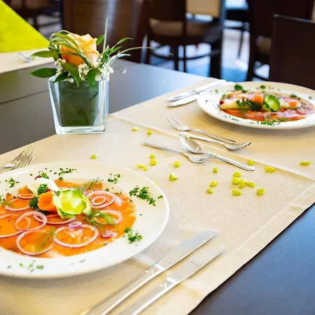 Hotel Michel Frankfurt Airport