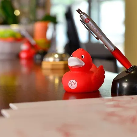 Ξενοδοχείο Michel Frankfurt Airport 4*