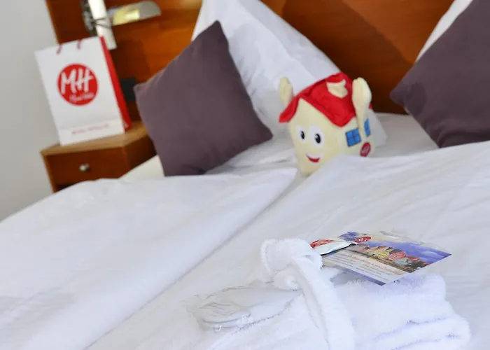 Michel Frankfurt Airport