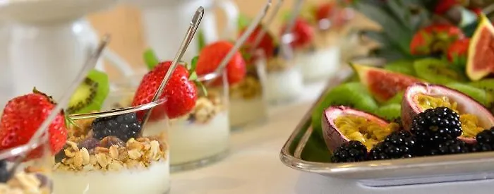 Michel Frankfurt Airport 4* 吕塞尔斯海姆