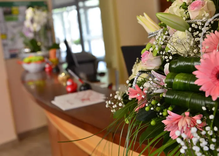 Szálloda Michel Frankfurt Airport 4*