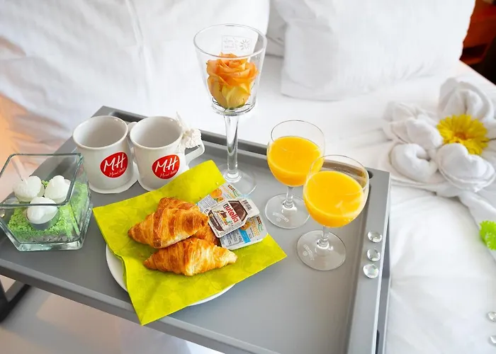 Hotel Michel Frankfurt Airport Rüsselsheim